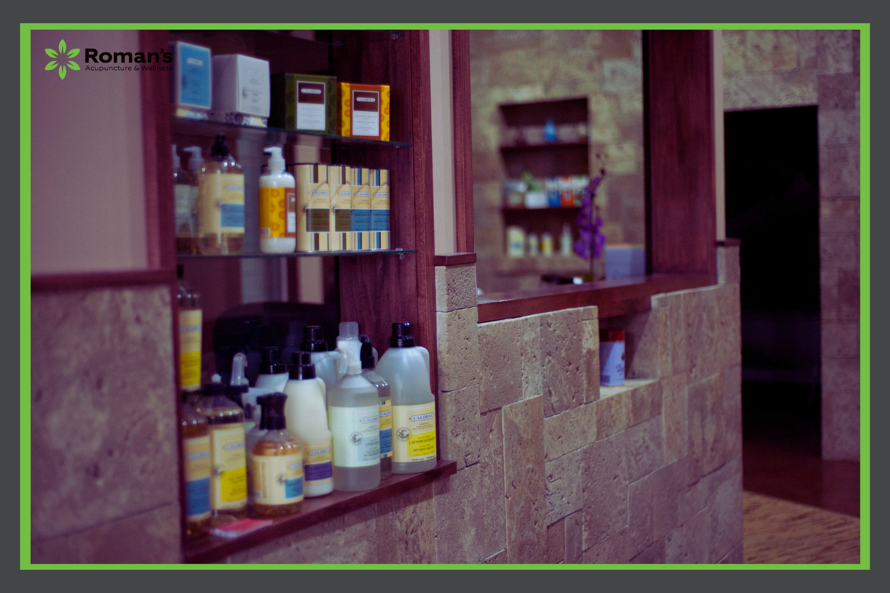Roman's Wellness Center Morgantown, WV blog household chemicals and toxins 