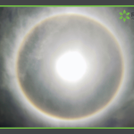 Halo light therapy system blog at Roman's Wellness Center Morgantown, WV