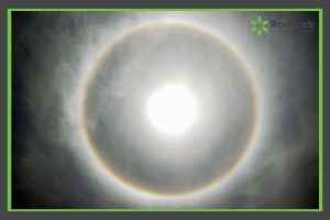 Halo light therapy system blog at Roman's Wellness Center Morgantown, WV