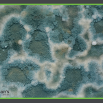 What are mycotoxins? Roman's Wellness Center blog Morgantown, WV